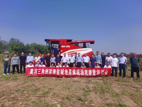 科技助力鹽堿地改良——黃河三角洲濱海鹽堿地高粱現(xiàn)場觀摩暨培訓(xùn)會(huì)成功舉辦