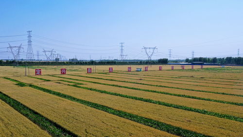 河北保定 科技創(chuàng)新為農(nóng)業(yè)產(chǎn)業(yè)化發(fā)展注入澎湃動能